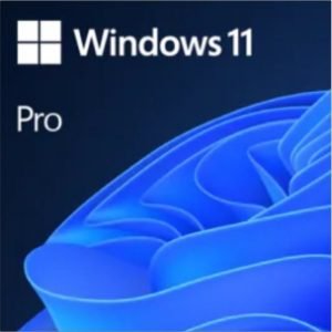 Windows 11 Pro