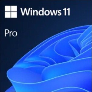 Windows 11 Pro
