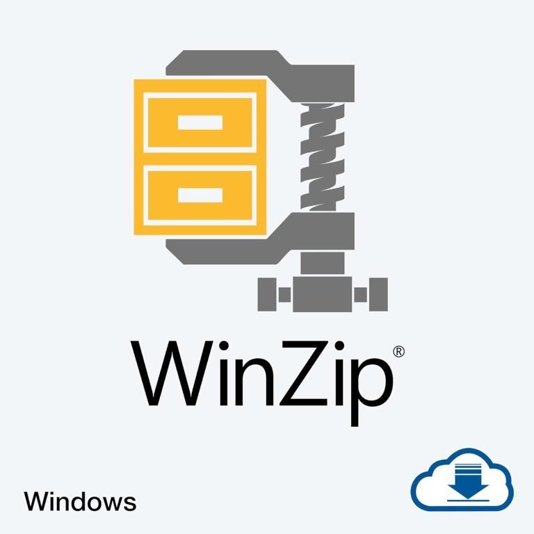 winzip 29 standard